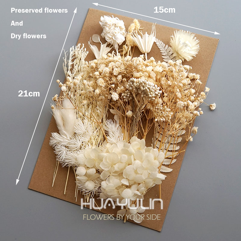 1 パック人工植物ドライ本物の花プリザーブド材料エポキシ樹脂 - Candle Making Experience のレビューと価格